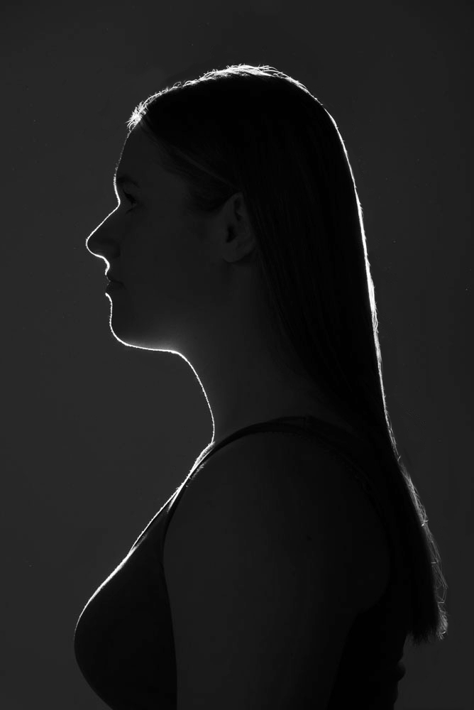 Ilse Design.